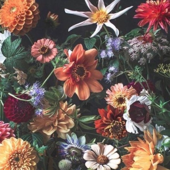 Meet your Posher, Cathy - Picture 1 of 1